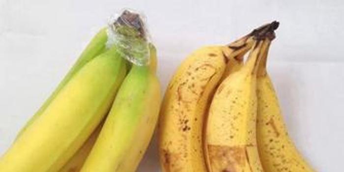 催熟的香蕉会导致儿童性早熟?