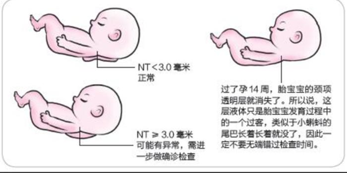 精神 不容畸形饭圈玷污 乒乓 国球