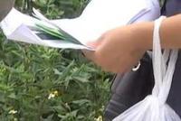 护士错打检验单医生照单开药