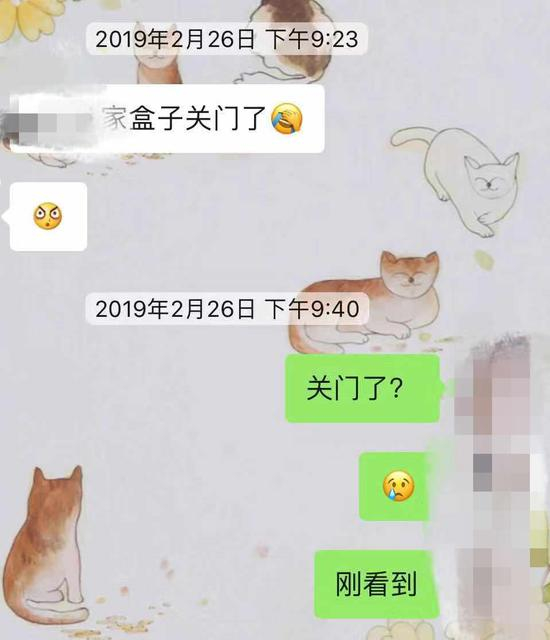 林清和朋友的聊天记录
