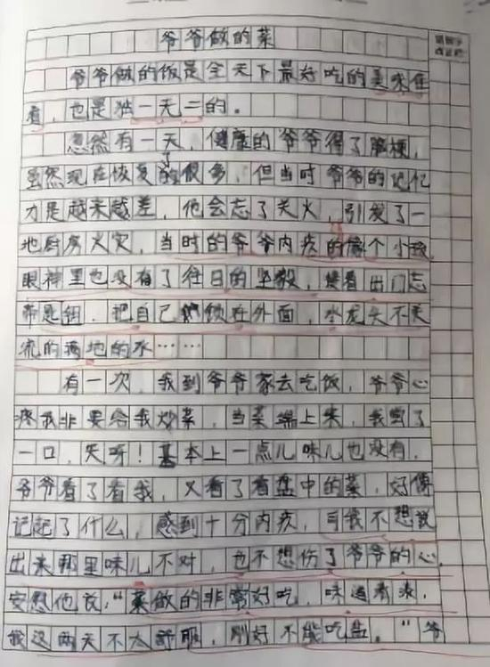 小学生的作文