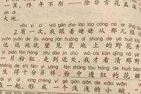 媒体:课本外婆改成姥姥 以后唱《姥姥的澎湖湾》?