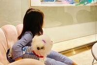 周杰伦晒女儿萌照 小周周怀抱狗狗