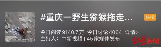 图为重庆野生猕猴拖走女孩热搜截图