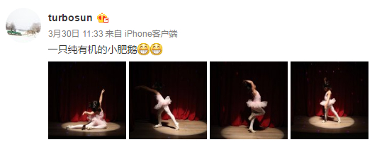 孙俪微博截图