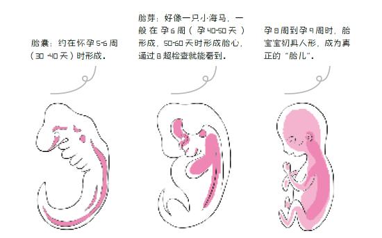 【育儿科普】二维、三维、四维超声检查有什么不同