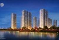 叶檀:明星城市杭州房价房租齐杀跌
