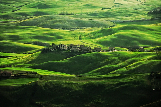 原野绿丝绒一般的质感.【摄影:sofia】