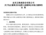 突发！刚刚，五粮液掌门，换人