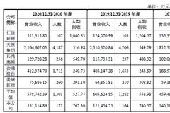 星辉环材人均创收762万：三年分红近2亿 实控人还多次向公司借钱