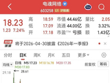 扣非净利润暴跌4218%！电魂网络的“中年危机”