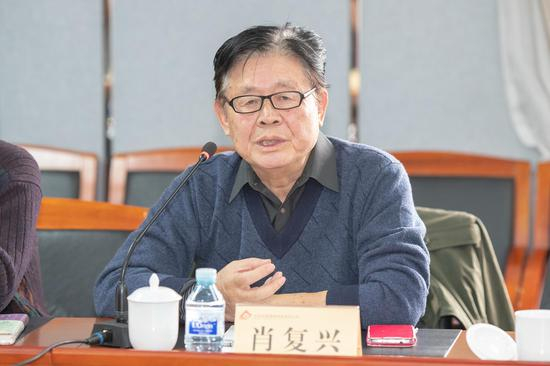 肖复兴发言