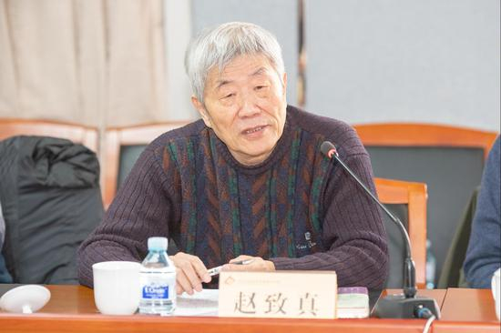 赵致真发言
