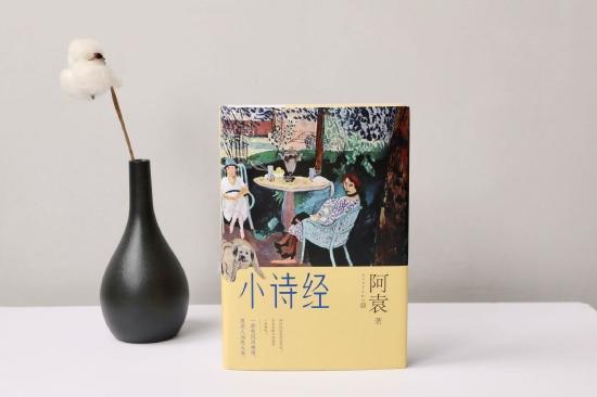 《小诗经》实拍图