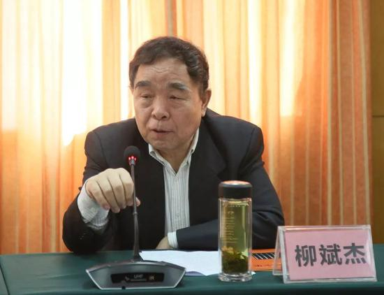 柳斌杰发言