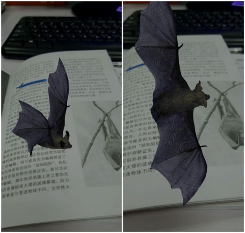 AR+蝙蝠