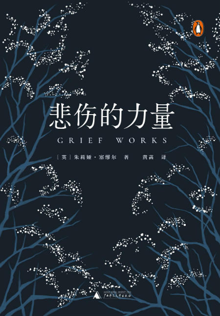 《悲伤的力量》　　　[英]朱莉娅·塞缪尔　　 黄菡　　　　广西师范大学出版社