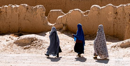 《罩袍之刺》插图