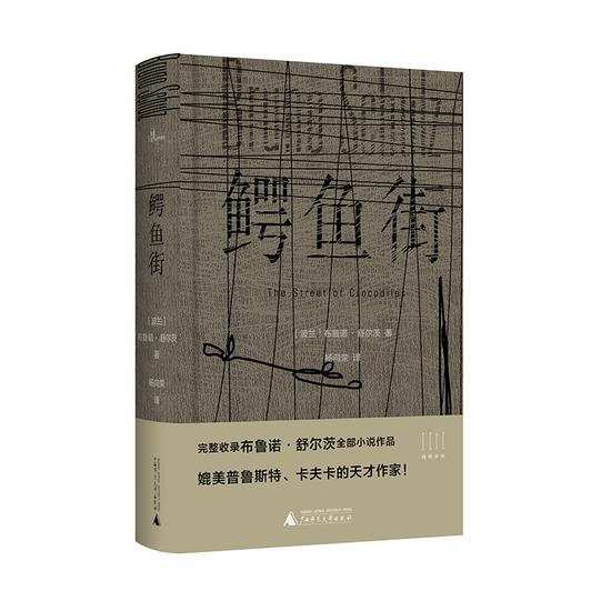 《鳄鱼街》 (波) 布鲁诺·舒尔茨 / 杨向荣 / 广西师范大学出版社