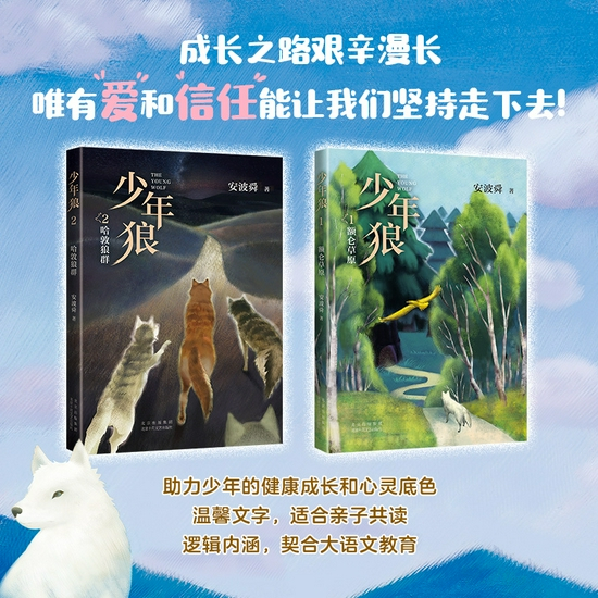 《少年狼》图书介绍