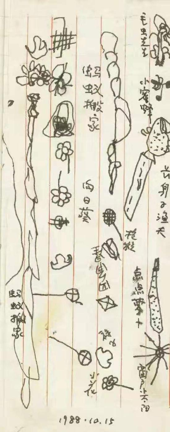 冬冬的画