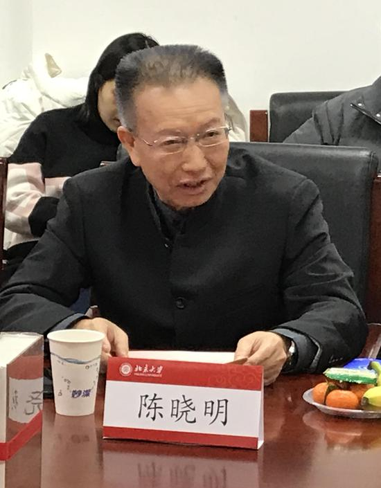 北京大学中文系主任陈晓明教授