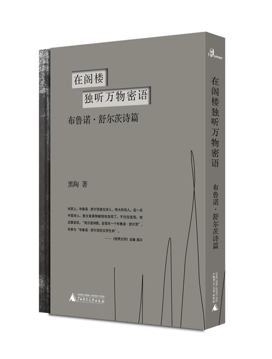 《在阁楼独听万物密语：布鲁诺·舒尔茨诗篇》 黑陶 / 广西师范大学出版社