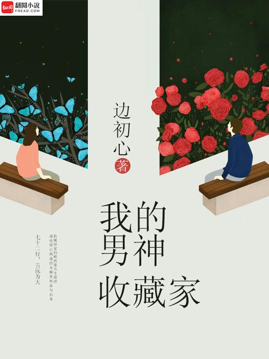 《我的男神收藏家》/边初心