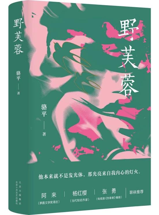 《野芙蓉》书写了一段跨越两代人的情感纠葛