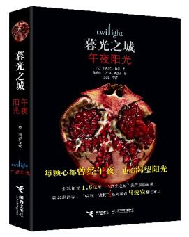 《午夜阳光》封面