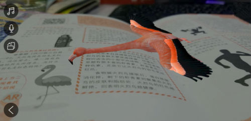 AR+火烈鸟