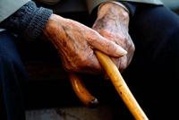 税延养老保险试点一年遇冷:7.5%的税率让人吃不消