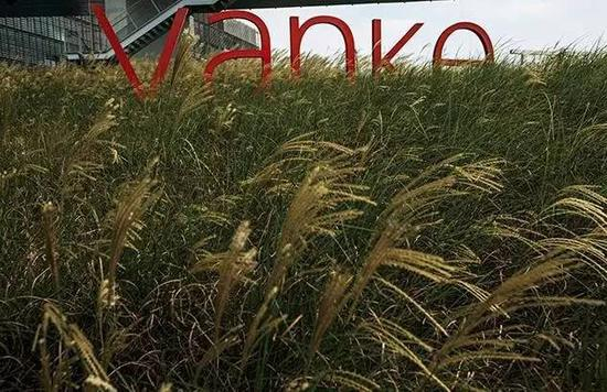 《财经》记者 马克 董文艳 徐谌辉/文