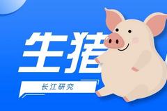 系列报告一：全球和中国生猪供需情况介绍