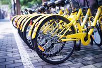 ofo押金没退着还被骗走30元 官方退押金能否争口气