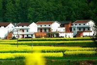 农村宅基地管理新政出台:严禁城镇居民购买宅基地