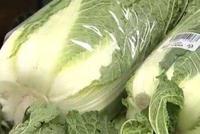 韩国白菜暴涨至30元一棵 成品泡菜销量大涨