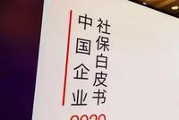 值得关注!企业社保白皮书:17.3%企业试用期无社保