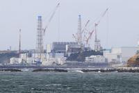 日本福岛县海域鱼类因放射性物质超标被禁止上市