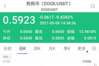 暴涨后暴跌!狗狗币跌破0.6美元关口 日内跌幅近10%