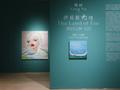 杨纳个展“伊希斯之地”在京开幕