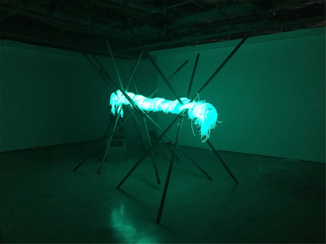 2017青年艺术100北京启动展