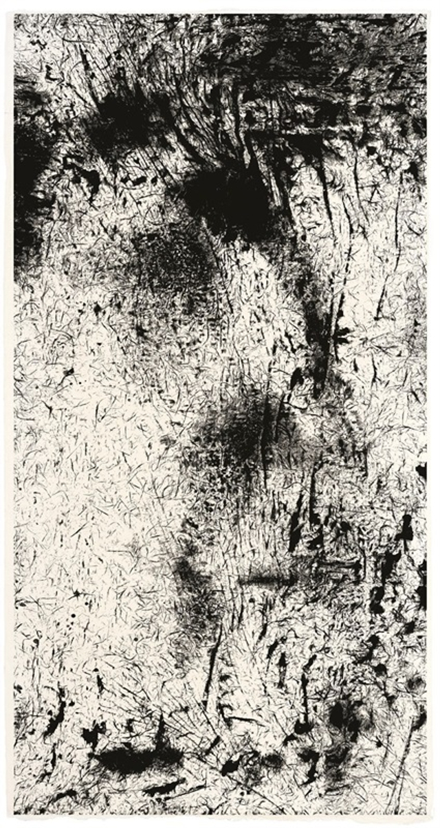 KOO KYUNG SOOK(美国) (2)