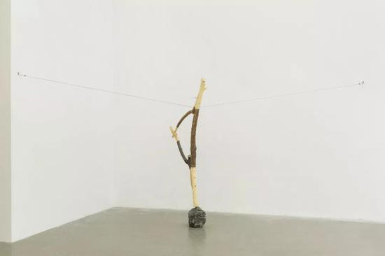 《来广营的三棵树》木、石 215×110×30cm 2018