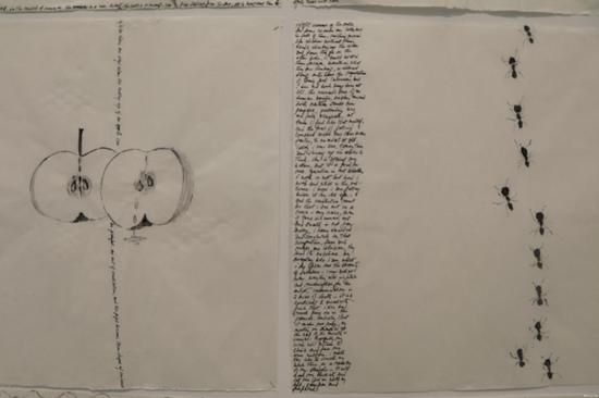 展览现场 作品《日记》（局部）