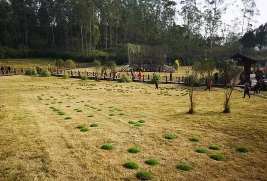 范勃&nbsp;一次诗歌复制 装置：泥土、草皮 2018