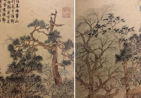 古树茅堂 林木部分