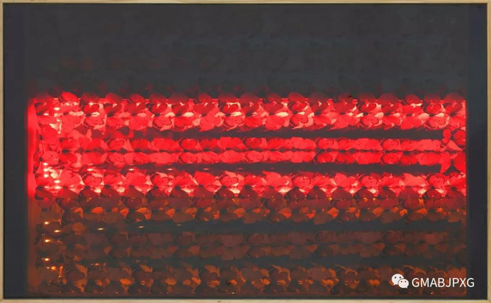Nationalism2&nbsp;2019&nbsp;综合材料 85x136x7cm