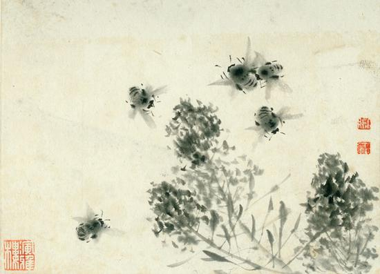 《菜花蜜蜂》1965年