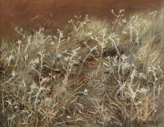 《蓟》（Thistles）1883/89。 芝加哥艺术博物馆 Gift of Brooks McCormick。